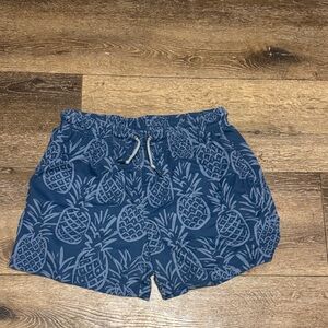 Chubbies shorts large